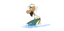shark