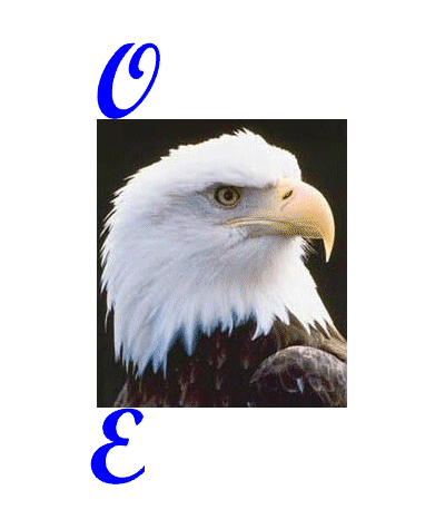 eagle